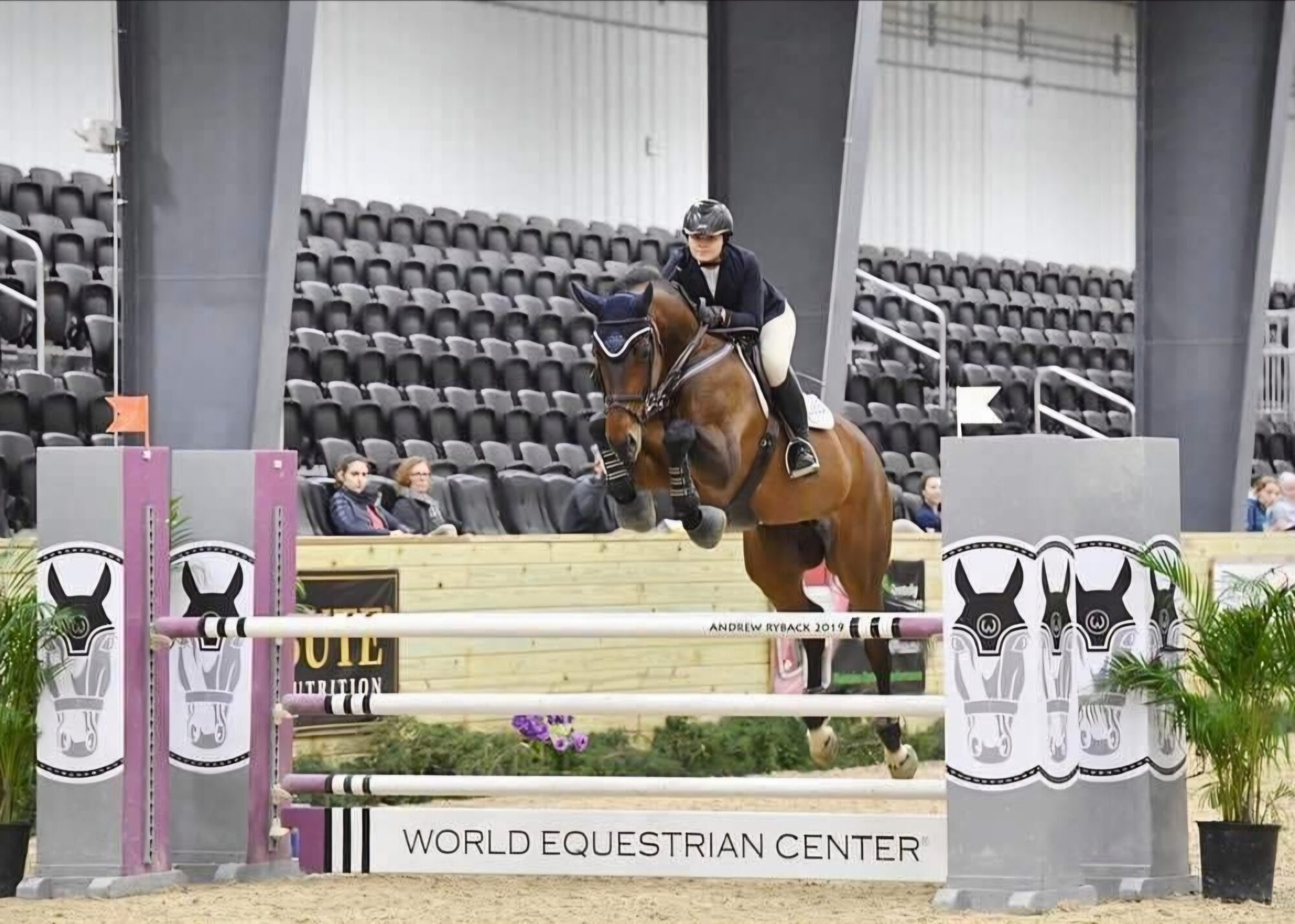 Showing – Hunters Court Farm